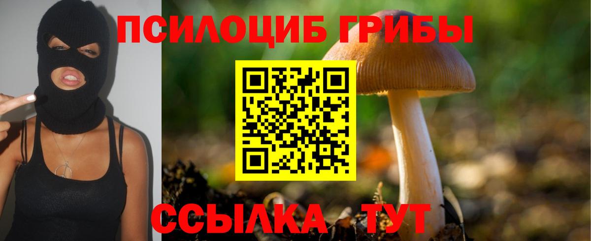 Галлюциногенные грибы мухоморы  Вход с VPN  Ртищево 
